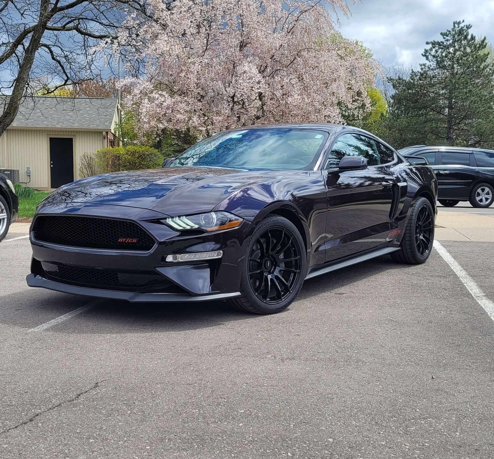 mustang stock ridehight on wheels